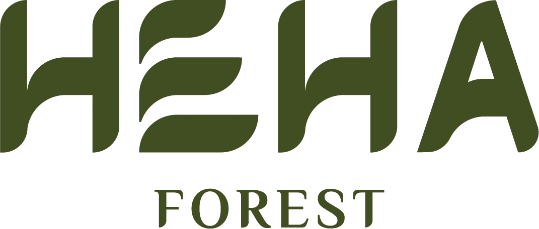 dashboard feature image